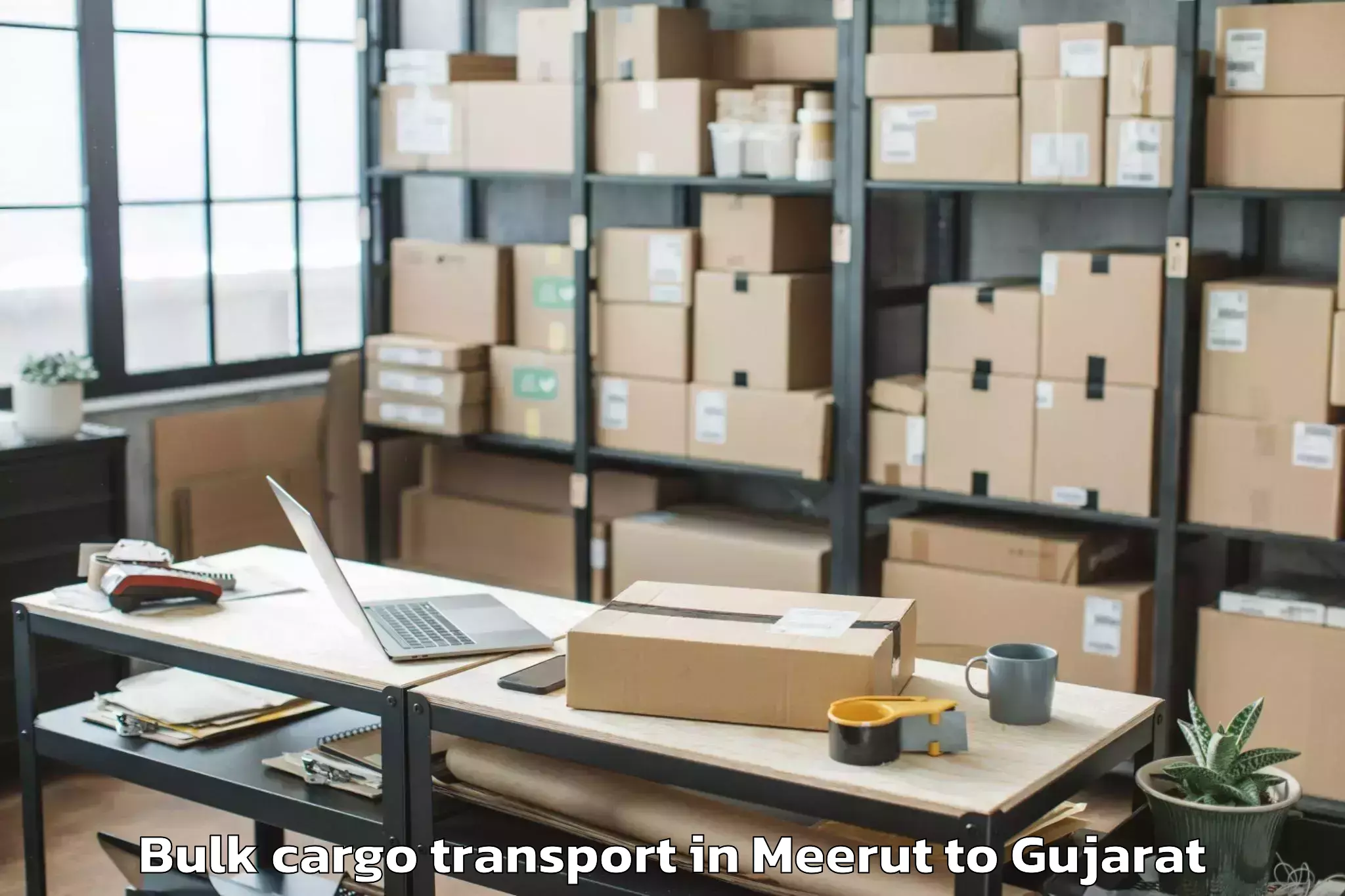 Meerut to Gandhinagar Bulk Cargo Transport